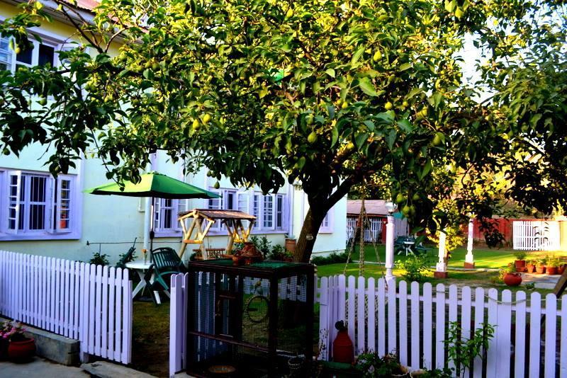 Dove Cottage Srinagar (Jammu and Kashmir) Exterior photo
